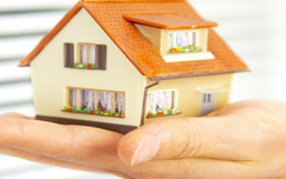 Bowling Green PROPERTY SEARCH